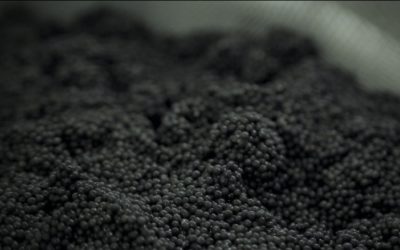 Pépites Tricolores – Le Caviar de Neuvic en vidéo