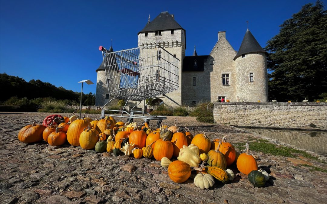 visite du château du Rivau