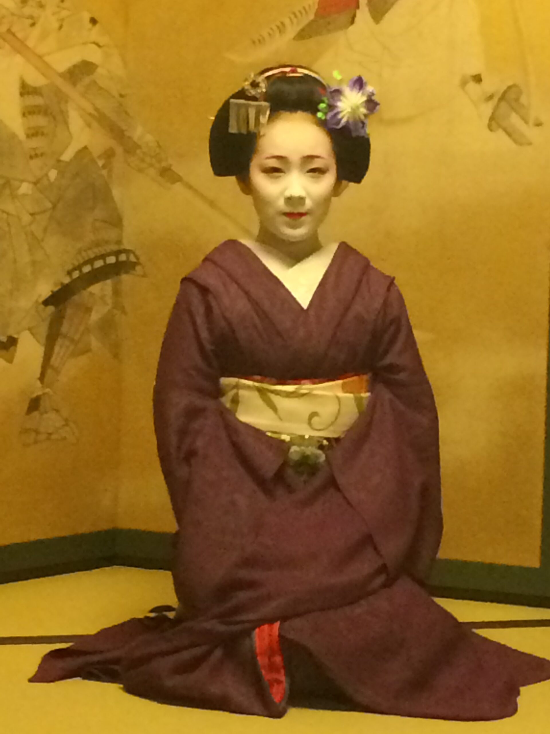 Geisha en kimono violet dans l'école de Geisha à Kyoto