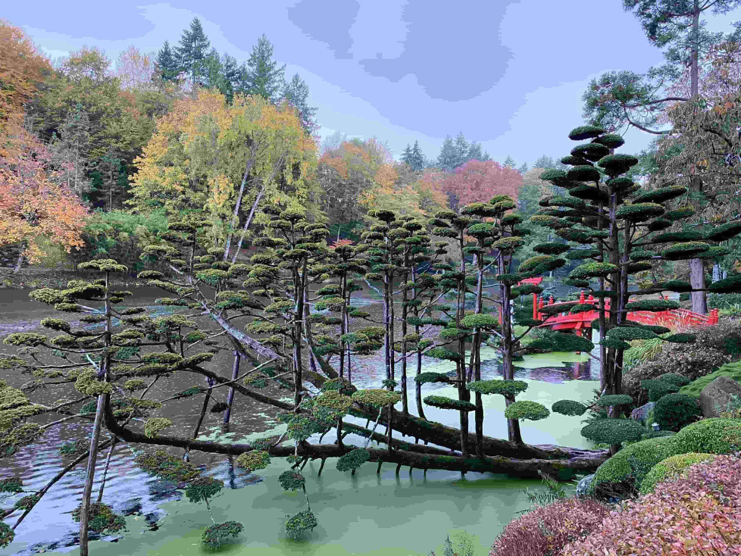 Maulévrier parc oriental japonais