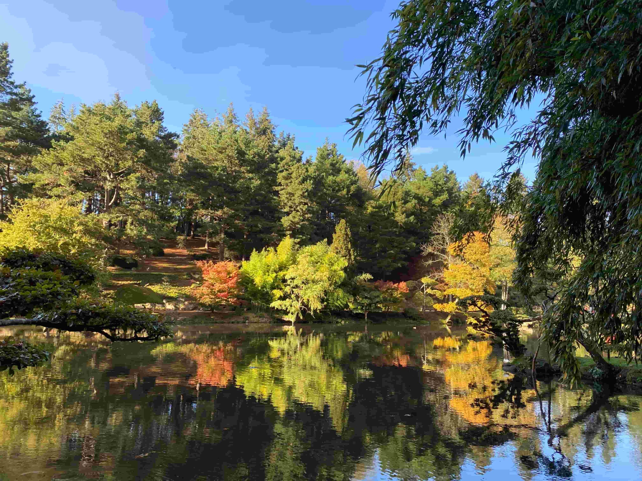 Maulévrier parc oriental japonais