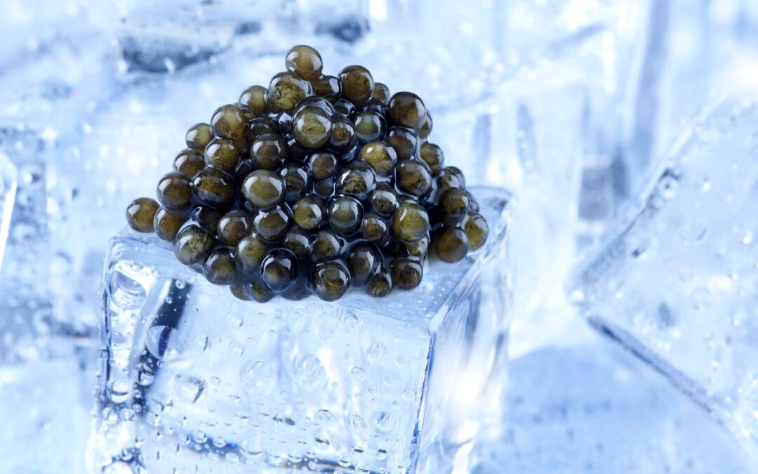 grain de caviar osciètre